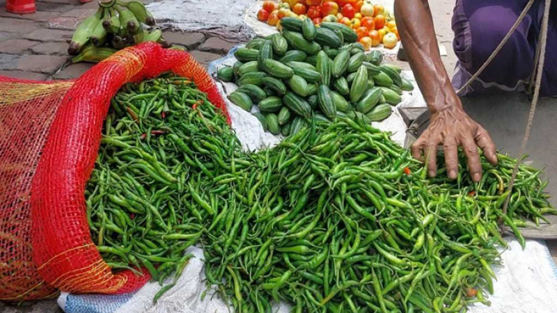 ময়মনসিংহে কাঁচা মরিচের কেজি ৬০০ টাকা | দৈনিক আজকের দর্পণ