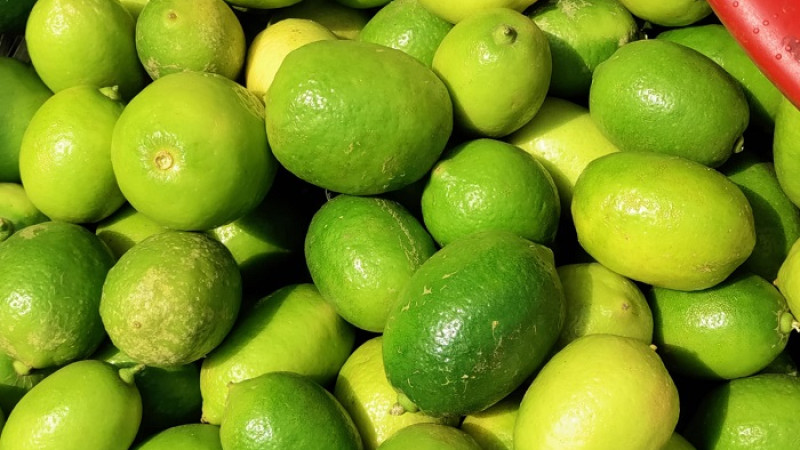 Koz yoshlarigacha eshakda