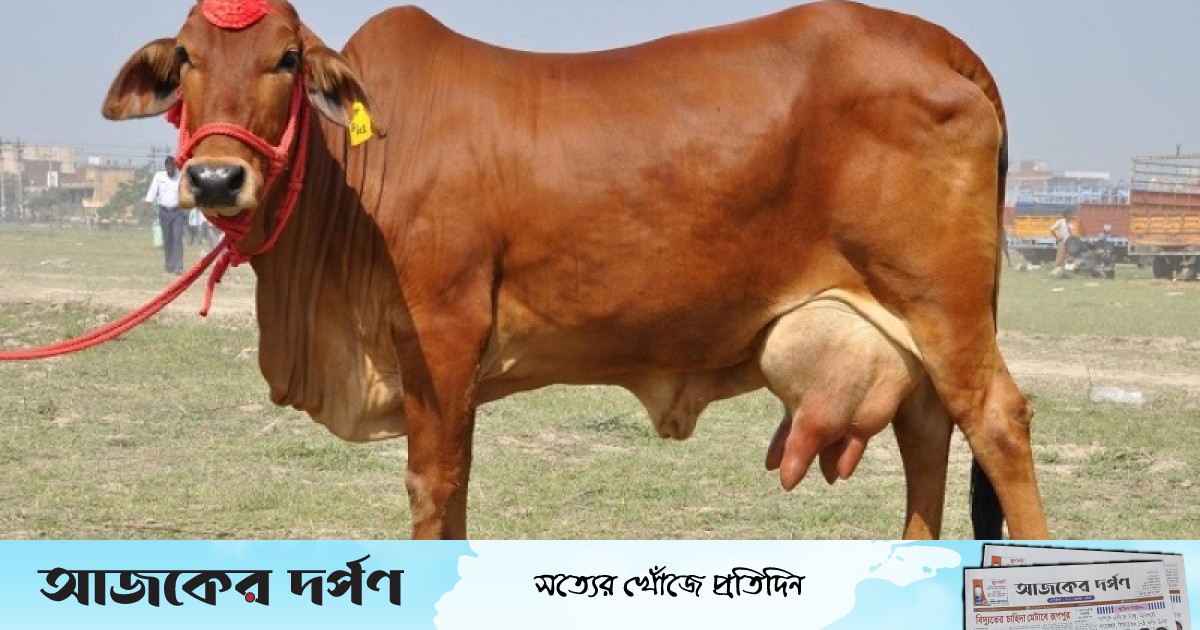 Butaning ostidagi xotinning surati