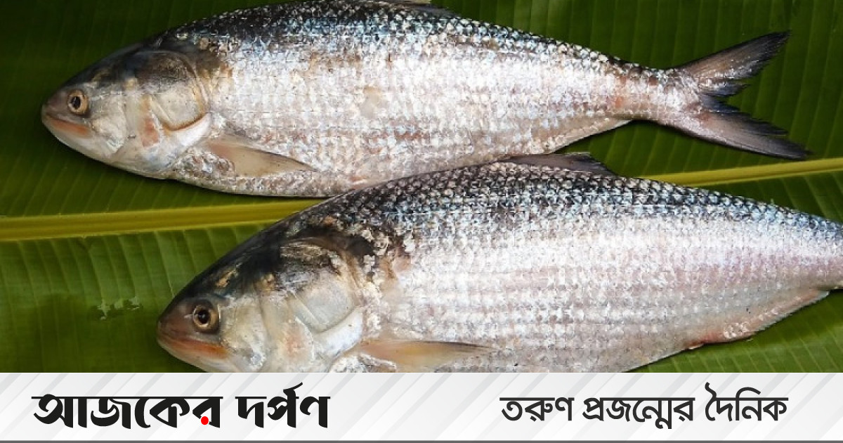 Yalangoch Rose McGowan soxta